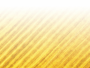 智能農(nóng)機(jī)、“訂單”服務(wù)、“云端”種菜——來自江西的春耕“新事”